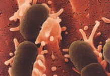 BIOWEAPONS : Do Not Underestimate The Potential Of Biological Weapons Do Not Underestimate The Potential Of Biological Weapons