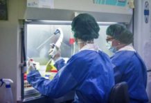 Israel Team Working With DRDO To Develop Rapid COVID-19 Testing – Indian Military Review Biochemical reserach laboratory