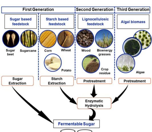 Global Bio-Fuel Alliance – G-20 Summit New Delhi Schematic pathways - first, second and third generation ethanol production
